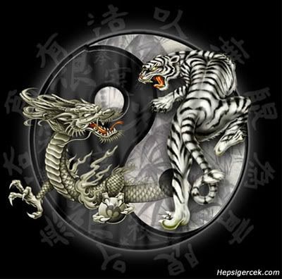 horned dragon tattoo aztec tattoo design. Ying Yang Tattoo 3D Design 