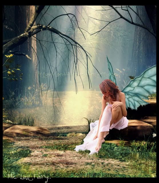 fairy in forest Pictures, Images and Photos