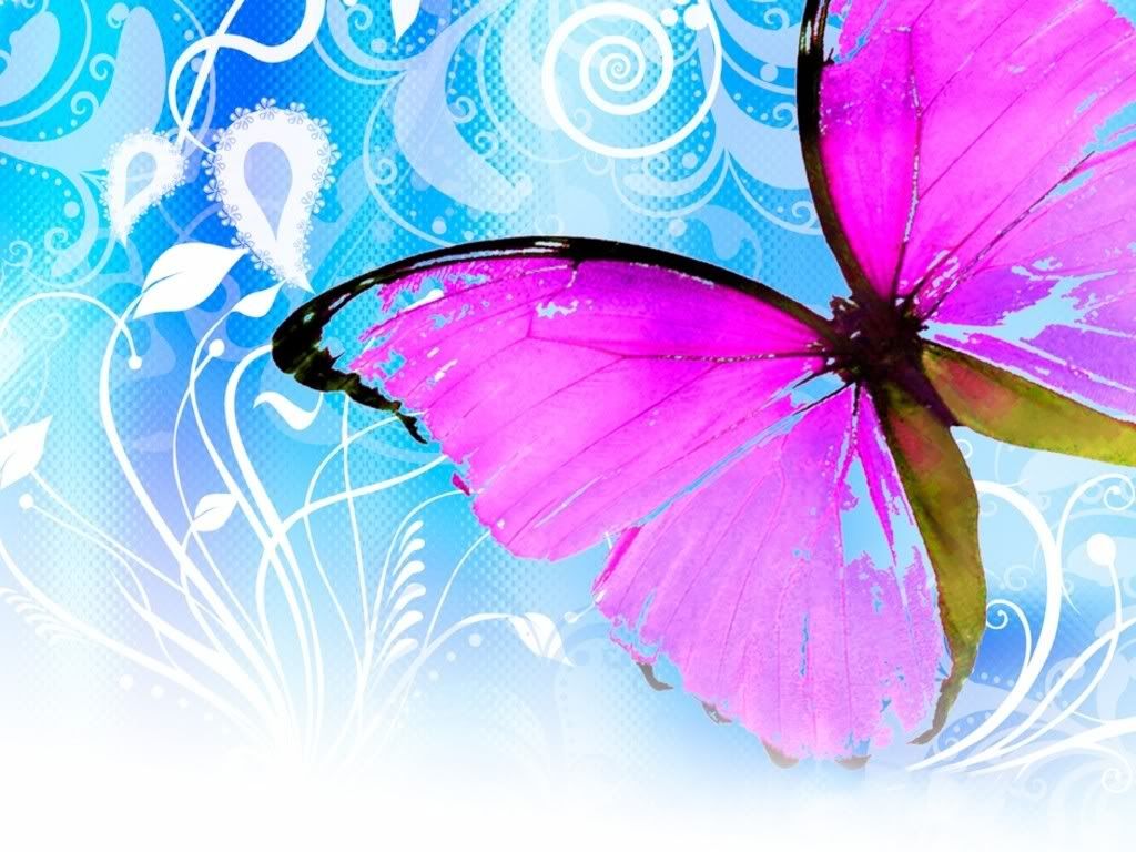 pink butterfly backgrounds