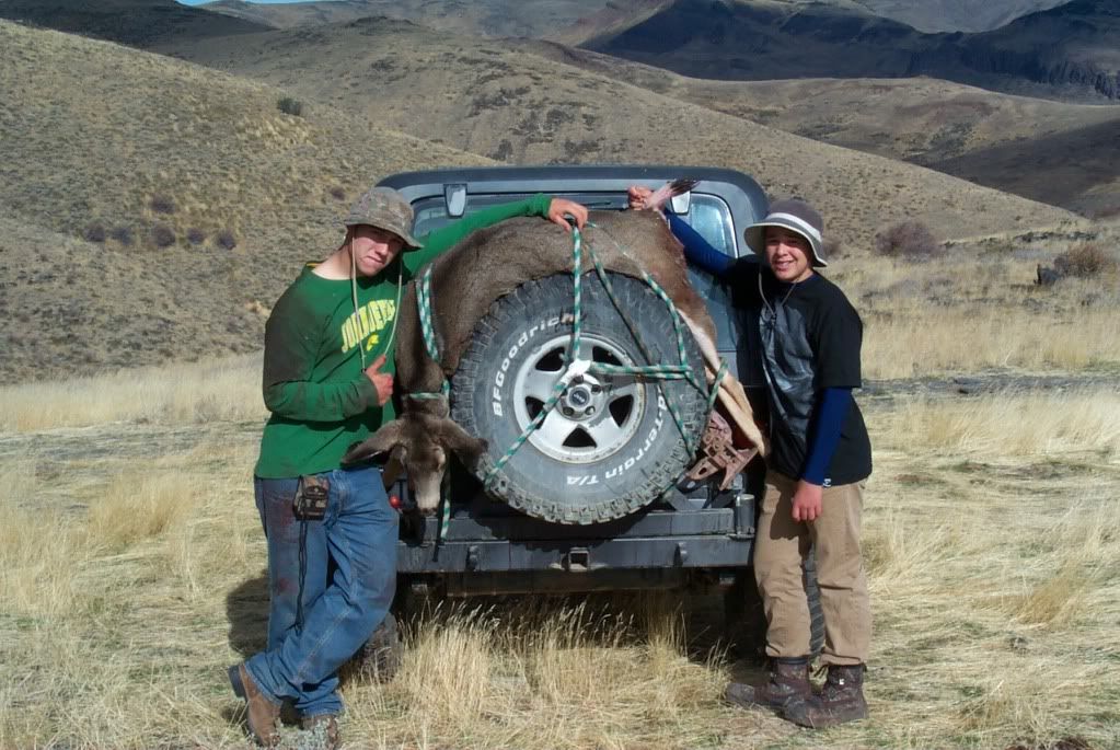 How to carry a deer in a jeep #5