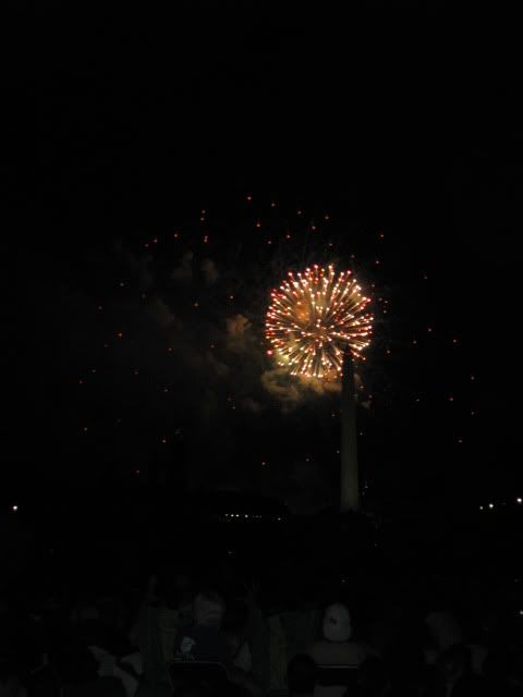fireworks in dc 8