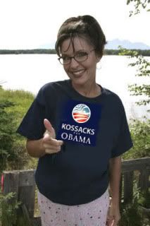 Palin is a Democrat Today