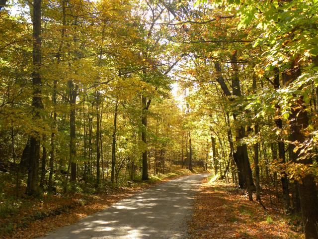 Fall Colors on a Sunny Trail photo DSCN0261_zps9f514392.jpg