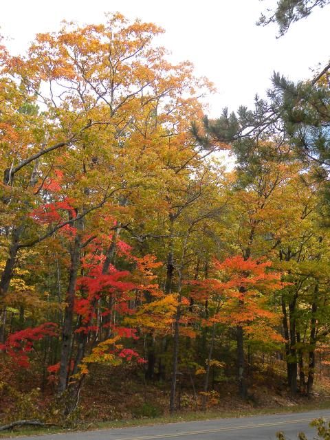 Fall colors near Cross Village photo DSCN0309_zps8950b5ad.jpg