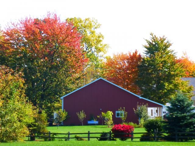 Fall Colors in the Neighborhood photo P1000461_zpsea638a13.jpg