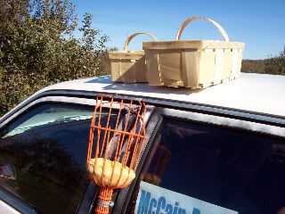 Guess what this is... - Homesteading Questions