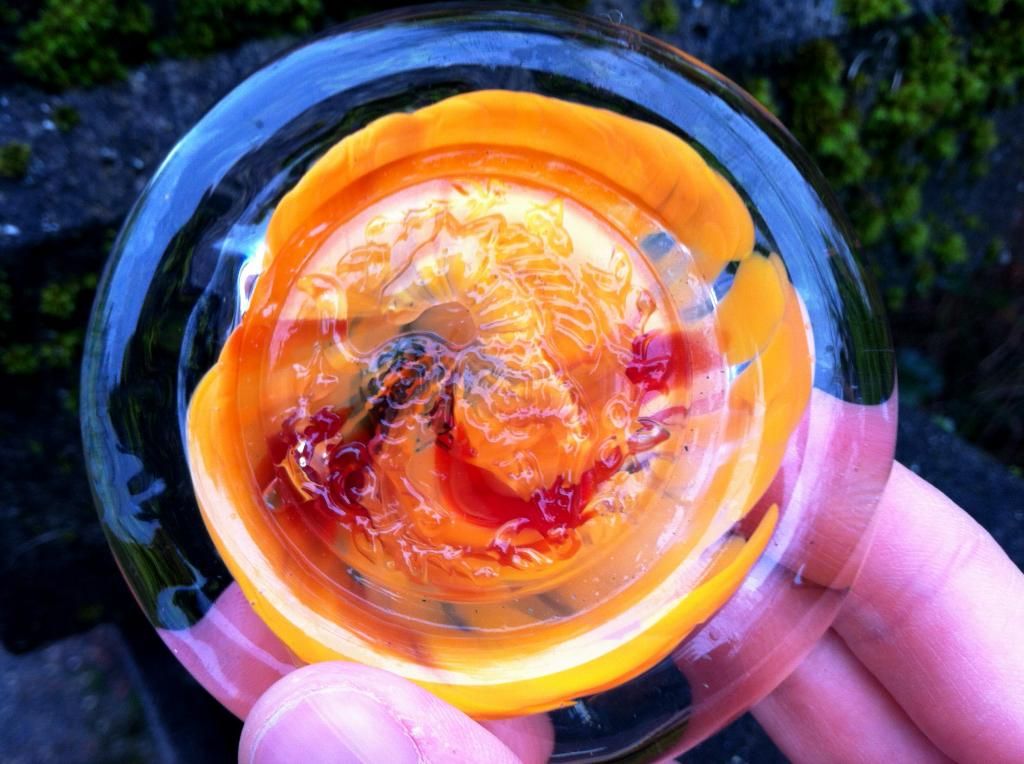 Monkeyshine medallion 2014. Photo by Jonny Eberle.