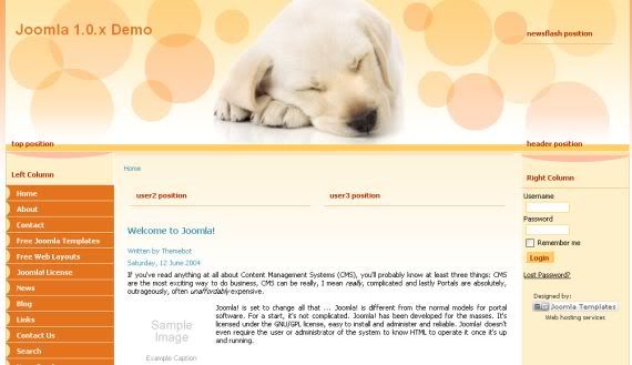 Pets Dogs Care Orange Joomla Template