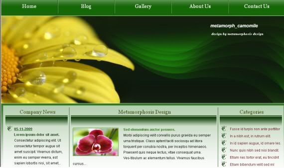 Nature Green Dark Website Template