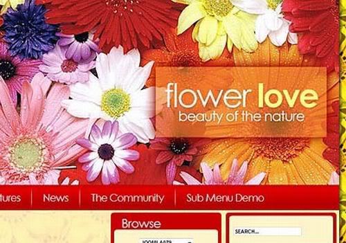 Free Joomla Flowers Shop Web2.0 Theme Template