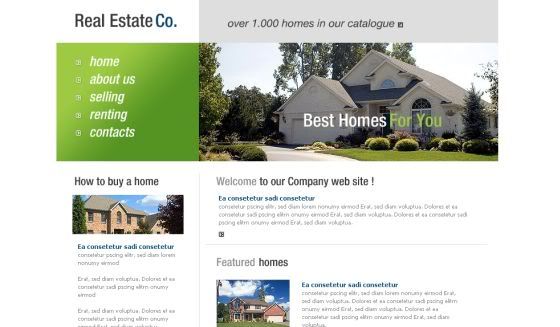 Free Flash Real Estate Company Template