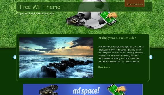 Wordpress Ronaldo Soccer Green Theme