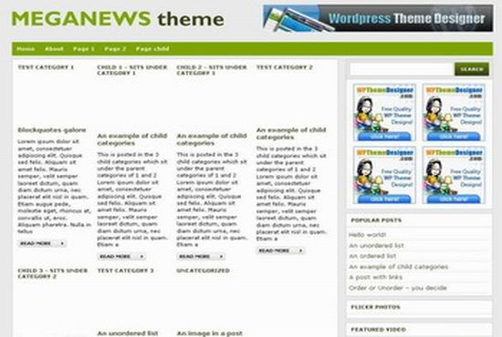 Wordpress Meganews Green Gray Theme Template