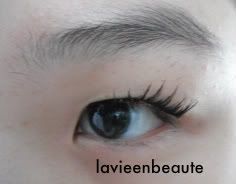 KKCenterHK A748 lashes