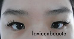 KKCenterHK A748 lashes