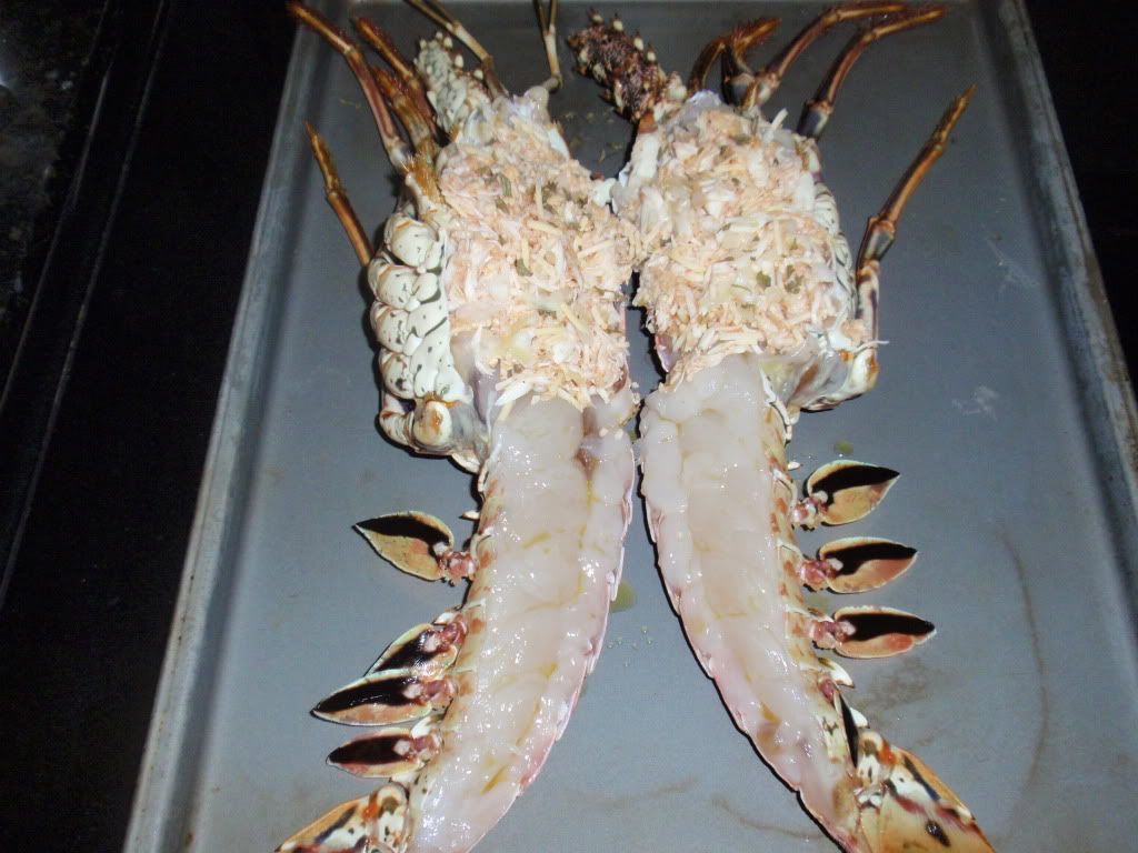 LobsterandStoneCrab005.jpg