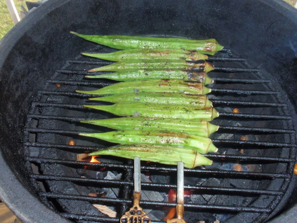 Grilled Okra Yes It Works Big Green Egg Egghead Forum The Ultimate Cooking Experience,Full Sun Deer Resistant Shrubs