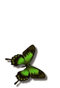 mariposa.gif subiendo tema image by mihiluze