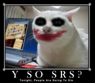 Joker cat Pictures, Images and Photos