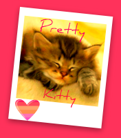 prettykitty.png