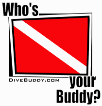 Who's your buddy? Dive flag. DiveBuddy.com Pictures, Images and Photos