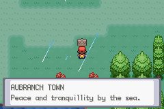 AubranchTown.png
