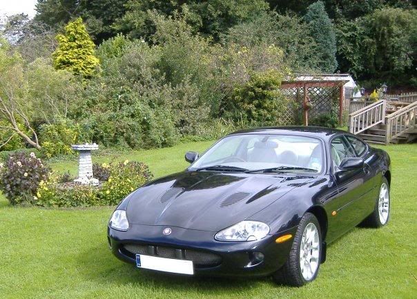 XKR1.jpg