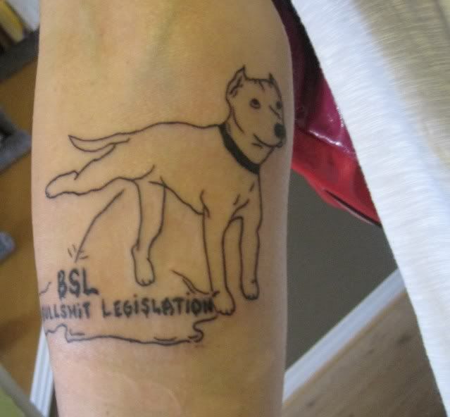 New tattoo -pitbull